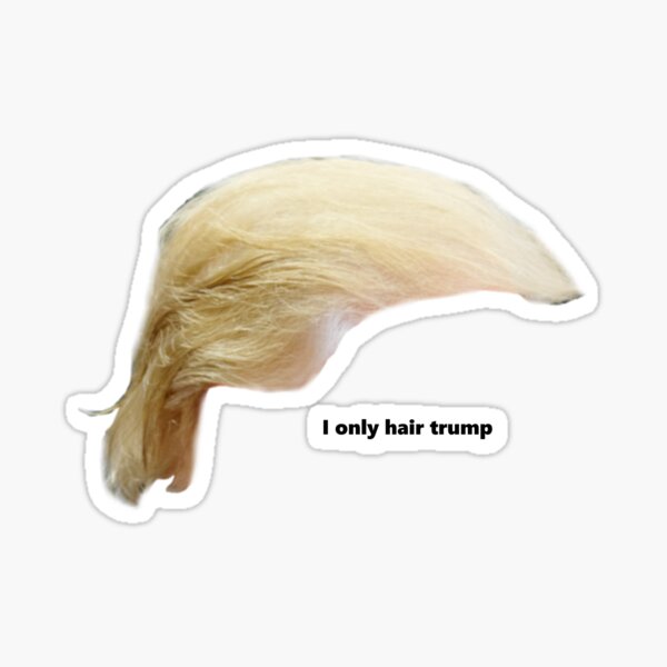 Donald Trump Wig Merch & Gifts for Sale | Redbubble