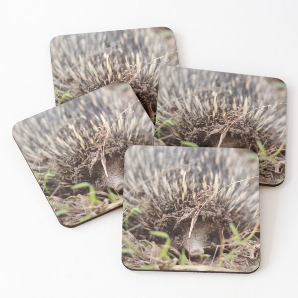 Item preview, Echidna  designed and sold by Pixxowl.