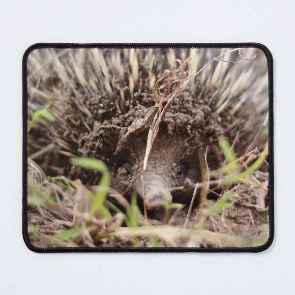 Item preview, Echidna designed and sold by Pixxowl.