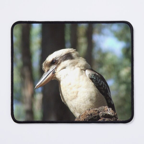 Item preview, Kookaburra stickybeak designed and sold by Penny Kittel.