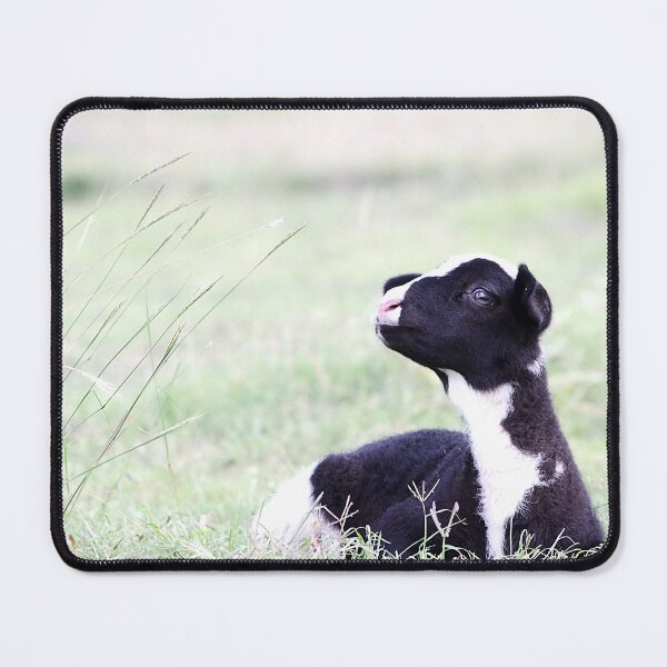 Item preview, Sky-gazing lamb designed and sold by Penny Kittel.