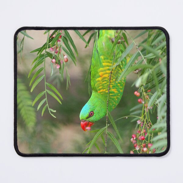 Item preview, Acrobatic Lorikeet designed and sold by Penny Kittel.