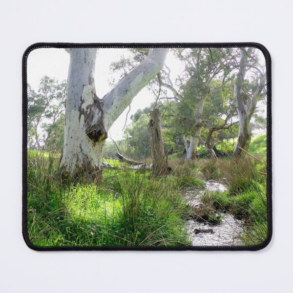 Item preview, Shady creek designed and sold by Penny Kittel.