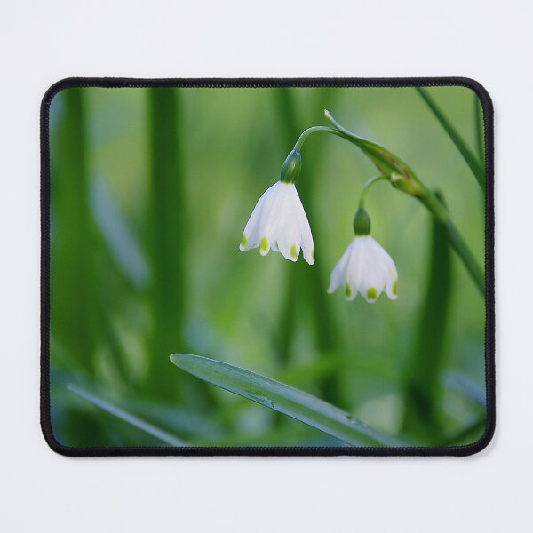Item preview, Wild Snowdrops designed and sold by Penny Kittel.
