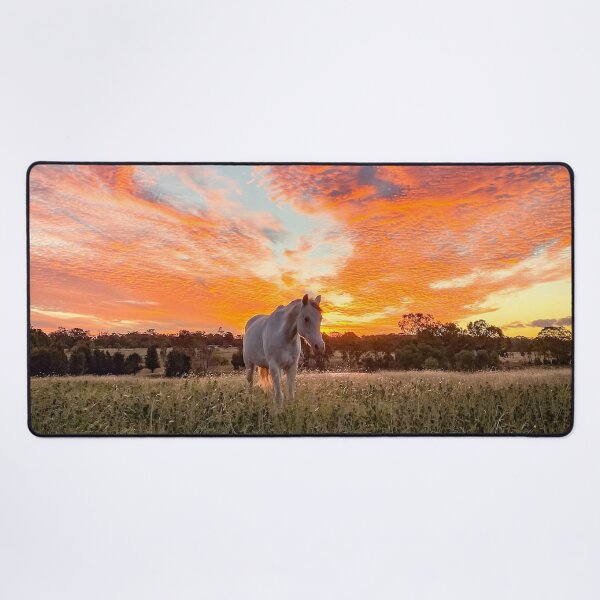 Item preview, Sioux Sunset designed and sold by Penny Kittel.