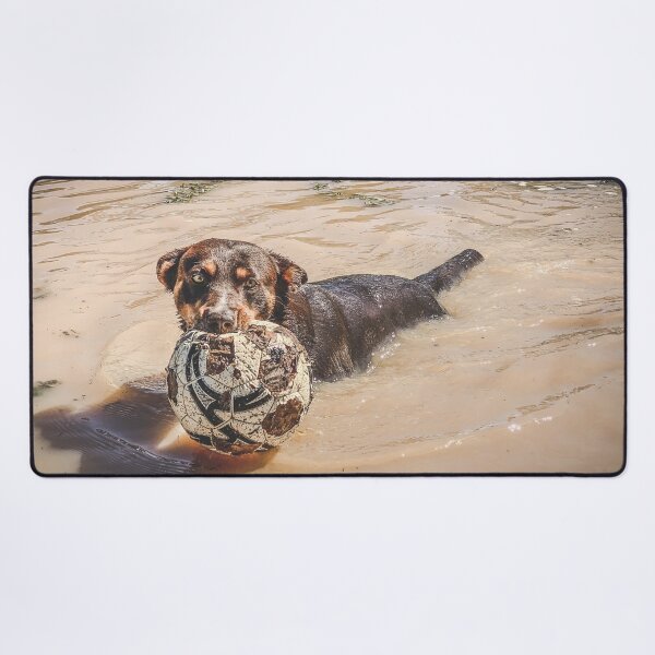 Item preview, Fetch designed and sold by Penny Kittel.