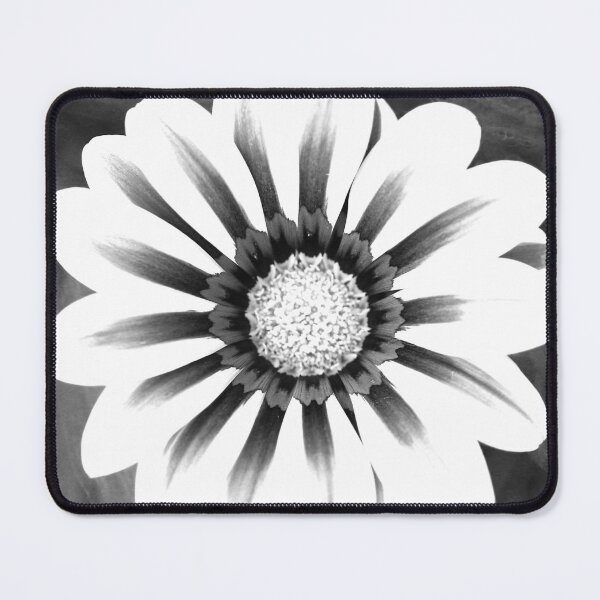 Item preview, B&W Gazania designed and sold by Penny Kittel.
