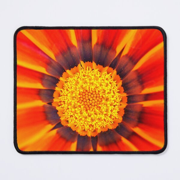 Item preview, Orange Gazania designed and sold by Penny Kittel.