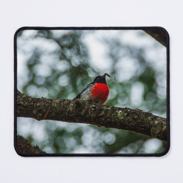 Item preview, Little Round Bird designed and sold by Baxter-adams.