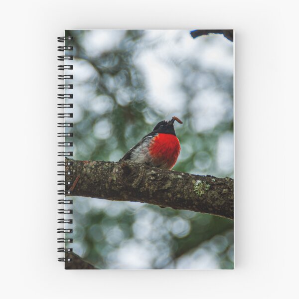 Item preview, Little Round Bird designed and sold by Baxter-adams.