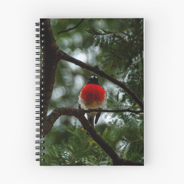 Item preview, Little Round Bird designed and sold by Baxter-adams.