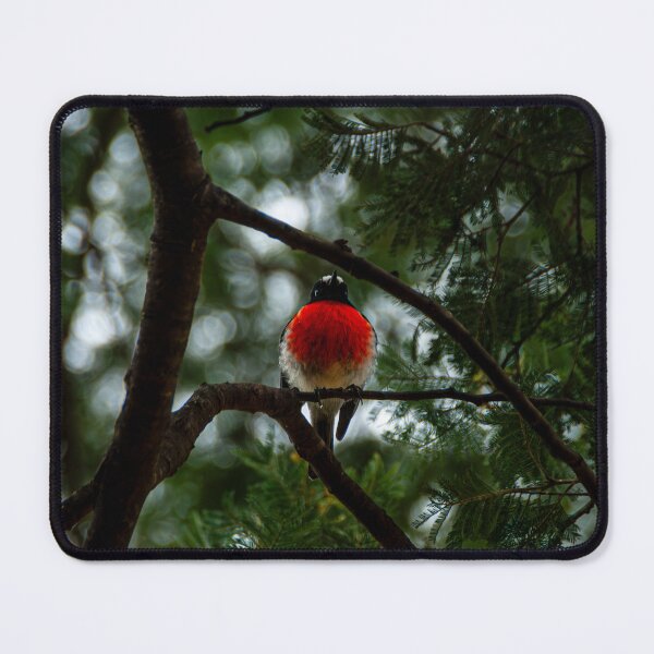 Item preview, Little Round Bird designed and sold by Baxter-adams.