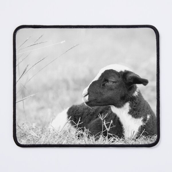 Item preview, Dreamy Lamb designed and sold by Penny Kittel.