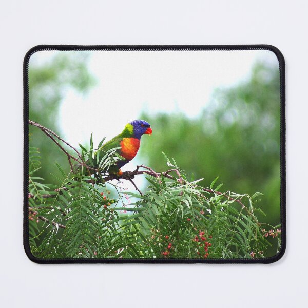 Item preview, Proud Lorikeet designed and sold by Penny Kittel.