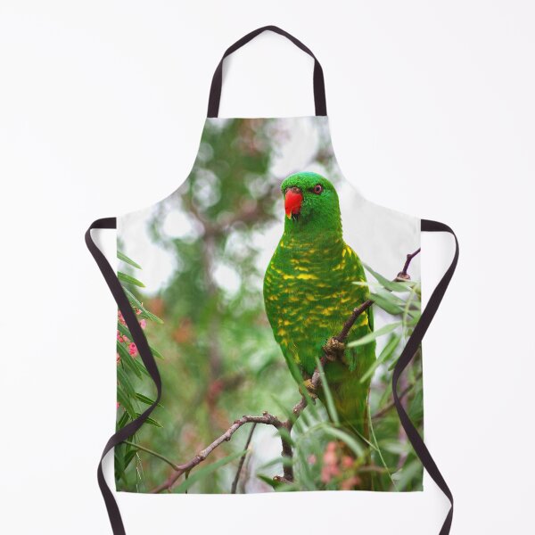 Item preview, Scaly Breasted Lorikeet designed and sold by Penny Kittel.