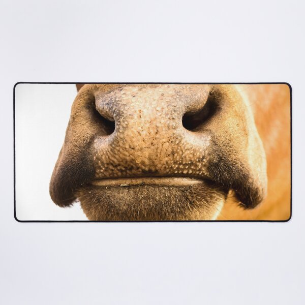 Item preview, Nosey Moo designed and sold by Penny Kittel.