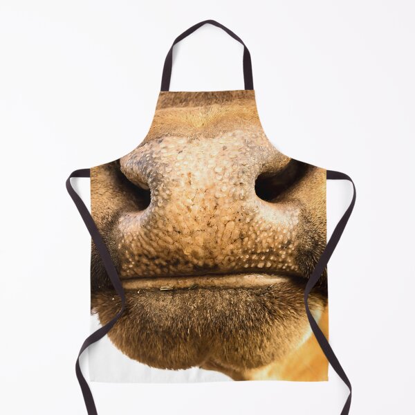 Item preview, Nosey Moo designed and sold by Penny Kittel.
