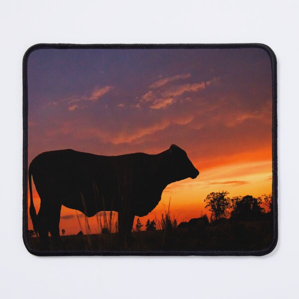 Item preview, Droughtmaster Sky designed and sold by Penny Kittel.