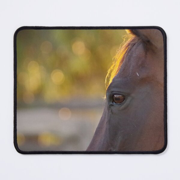 Item preview, Bokeh Bay designed and sold by Penny Kittel.