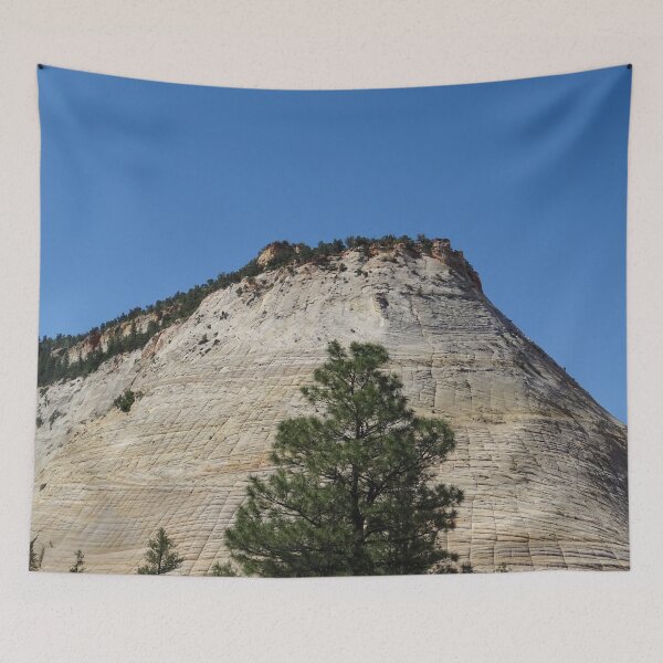 Tapestry
