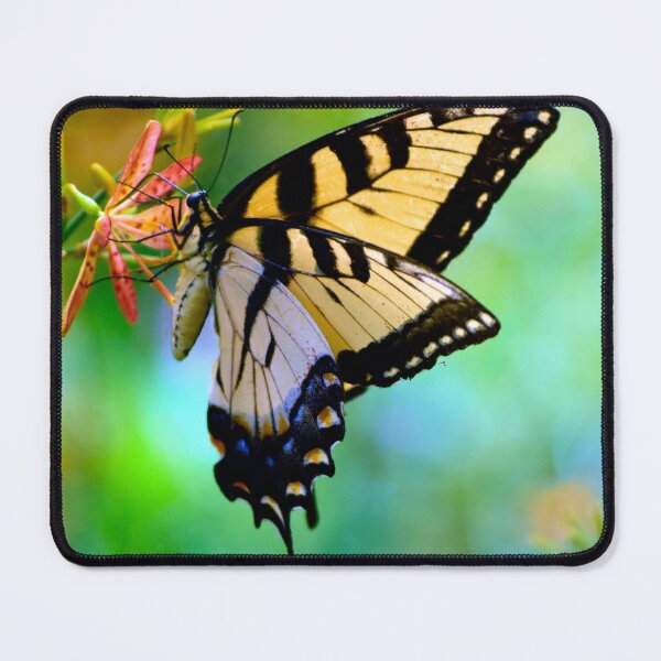 Item preview, Swallowtail Butterfly designed and sold by MercerImages.
