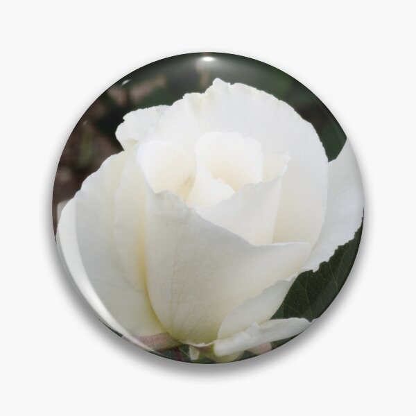 Item preview, una rosa blanca 2 designed and sold by yunee.