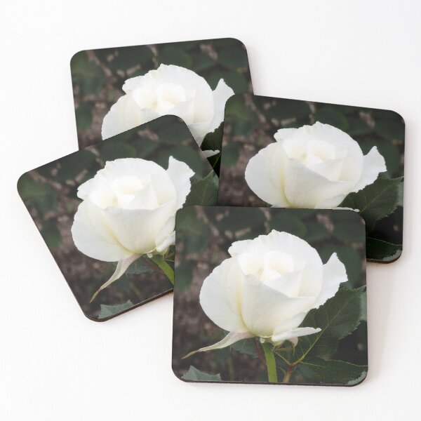 Item preview, a white rose 2 designed and sold by yunee.