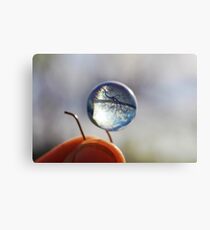The World At My Fingertips Canvas Print