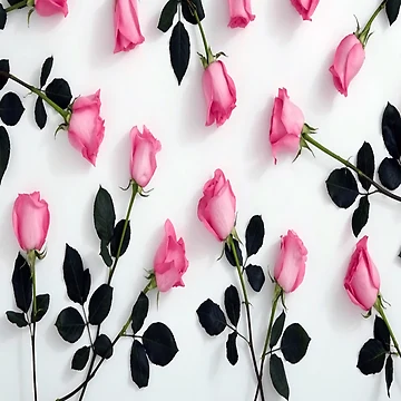 Artwork thumbnail, Pink Roses by ROPATROKOLA
