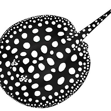 Artwork thumbnail, Black Diamond Stingray by CielPetit