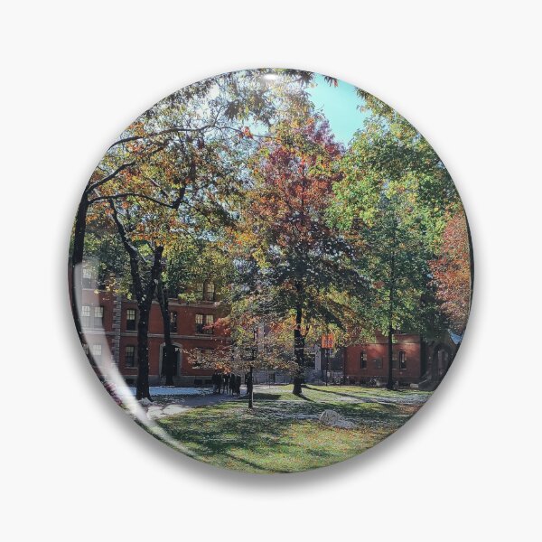 Item preview, Autumn Bliss in a City Park. Harvard University designed and sold by Mel Moreno.