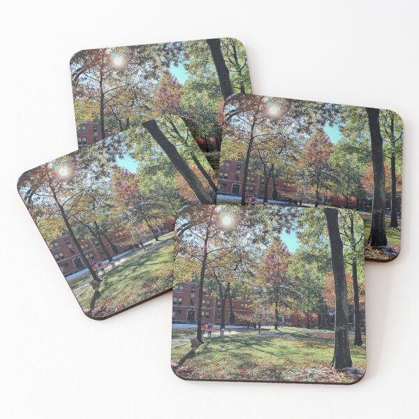 Item preview, Autumn Bliss in a City Park. Harvard University designed and sold by Mel Moreno.