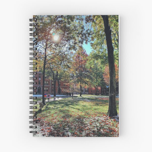 Item preview, Autumn Bliss in a City Park. Harvard University designed and sold by Mel Moreno.