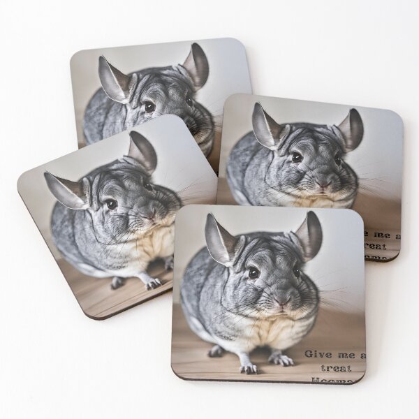 Item preview, Chinchilla wants treats, tshirts and stuff designed and sold by Smallfish1274.