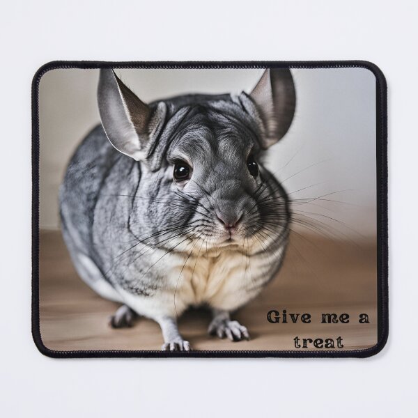 Item preview, Chinchilla wants treats, tshirts and stuff designed and sold by Smallfish1274.