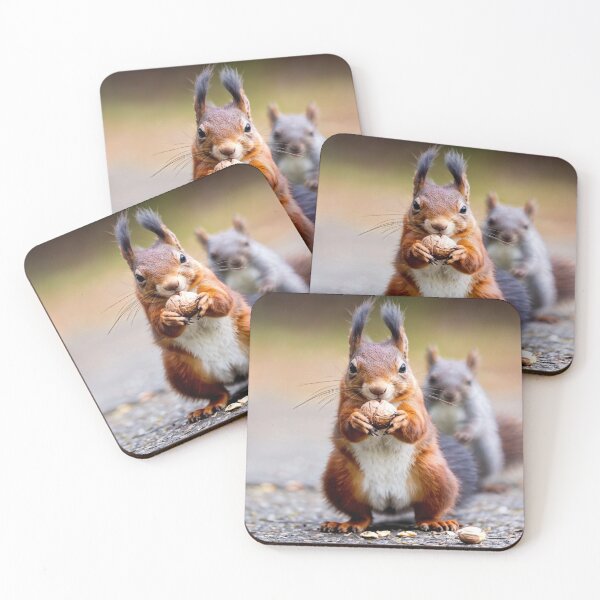 Item preview, Who stole the nut? designed and sold by Collection de trésors .