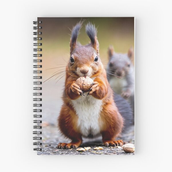 Item preview, Who stole the nut? designed and sold by Collection de trésors .