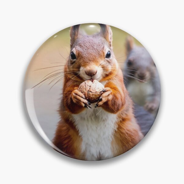 Item preview, Who stole the nut? designed and sold by Collection de trésors .