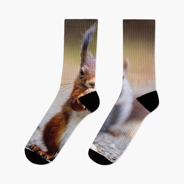 Item preview, Who stole the nut? designed and sold by Collection de trésors .