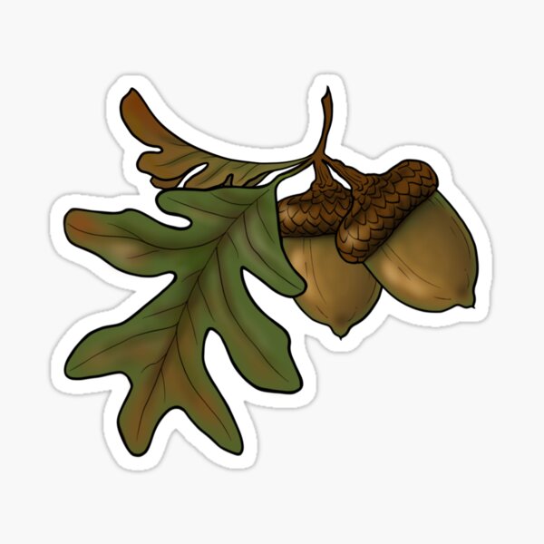 Item preview, ACORNS designed and sold by JaymeTattoos.