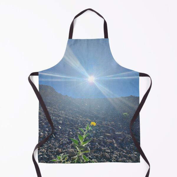 Item preview, Desert Flower in Sunlight designed and sold by ColorRoadians.