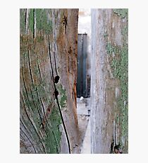 Cyprus Doors Photographic Print