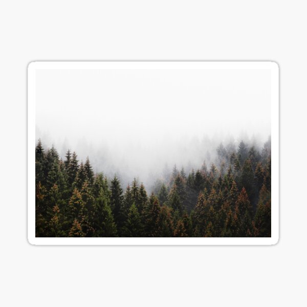 Item preview, The Window In The Woods // Romantasy Moody Wilderness Dream Forest With Cascadia Trees Covered In Magic Fog designed and sold by Tordis Kayma.