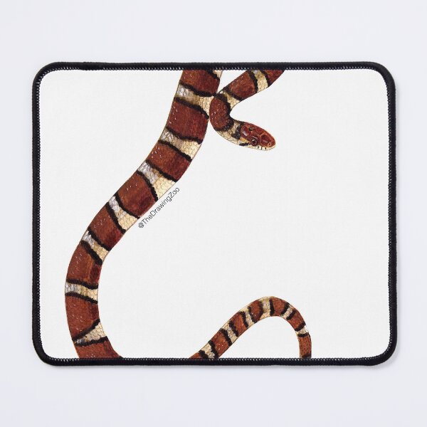 Item preview, Eastern Milk Snake Painting designed and sold by TheDrawingZoo.