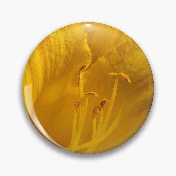 Item preview, Yellow day lily flower blooming on black designed and sold by KRFNatureGifts.