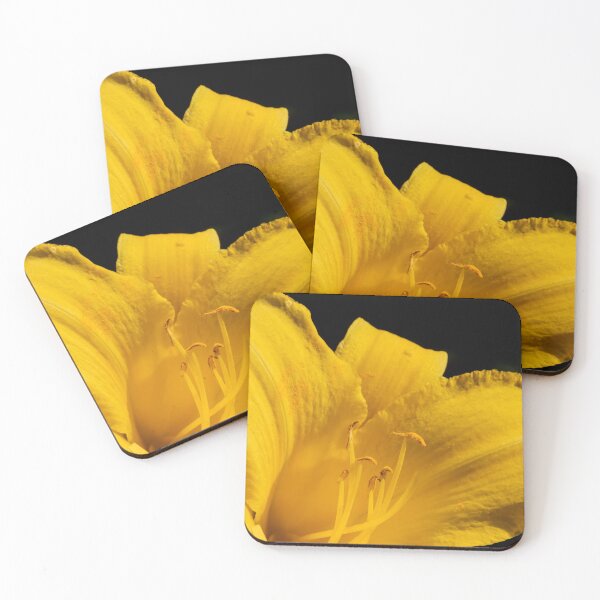 Item preview, Yellow day lily flower blooming on black designed and sold by KRFNatureGifts.