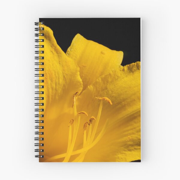 Item preview, Yellow day lily flower blooming on black designed and sold by KRFNatureGifts.