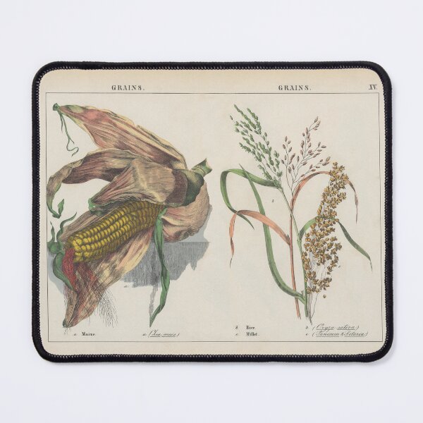 Item preview, Vintage Botanical Illustration Grains designed and sold by newnouveau.