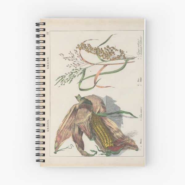 Item preview, Vintage Botanical Illustration Grains designed and sold by newnouveau.