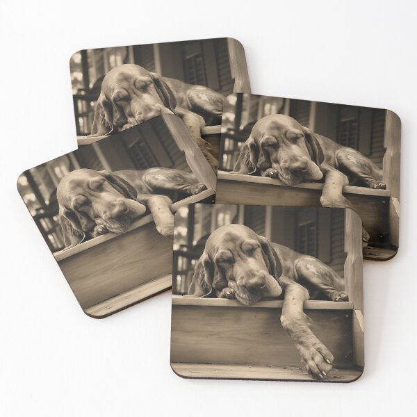 Artikelvorschau, Vintage Foto von Front Porch Bloodhound entworfen und verkauft von Samuelsboro.